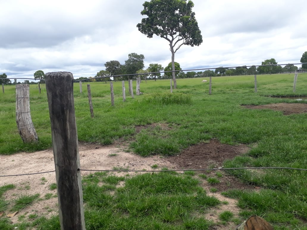 Fazenda à venda, 1936m² - Foto 2