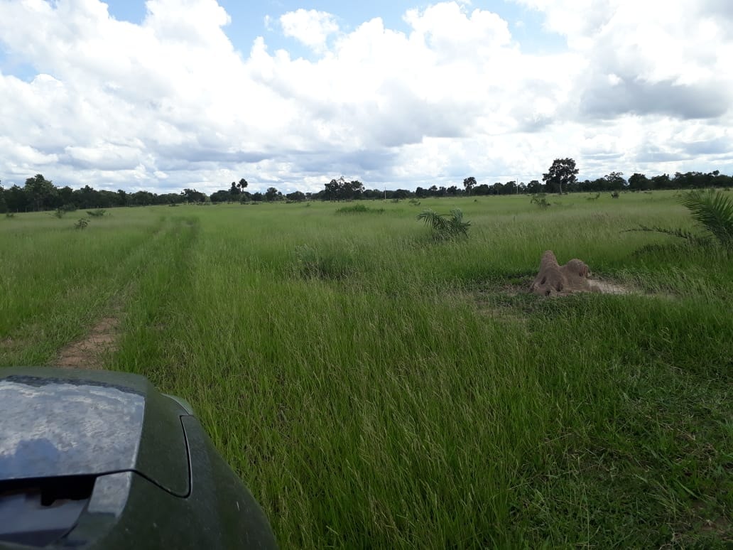 Fazenda à venda, 1936m² - Foto 4