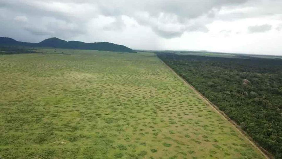 Fazenda à venda, 21000m² - Foto 6