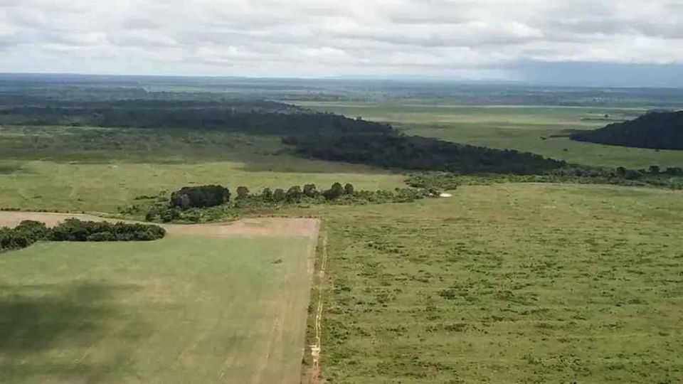 Fazenda à venda, 21000m² - Foto 9