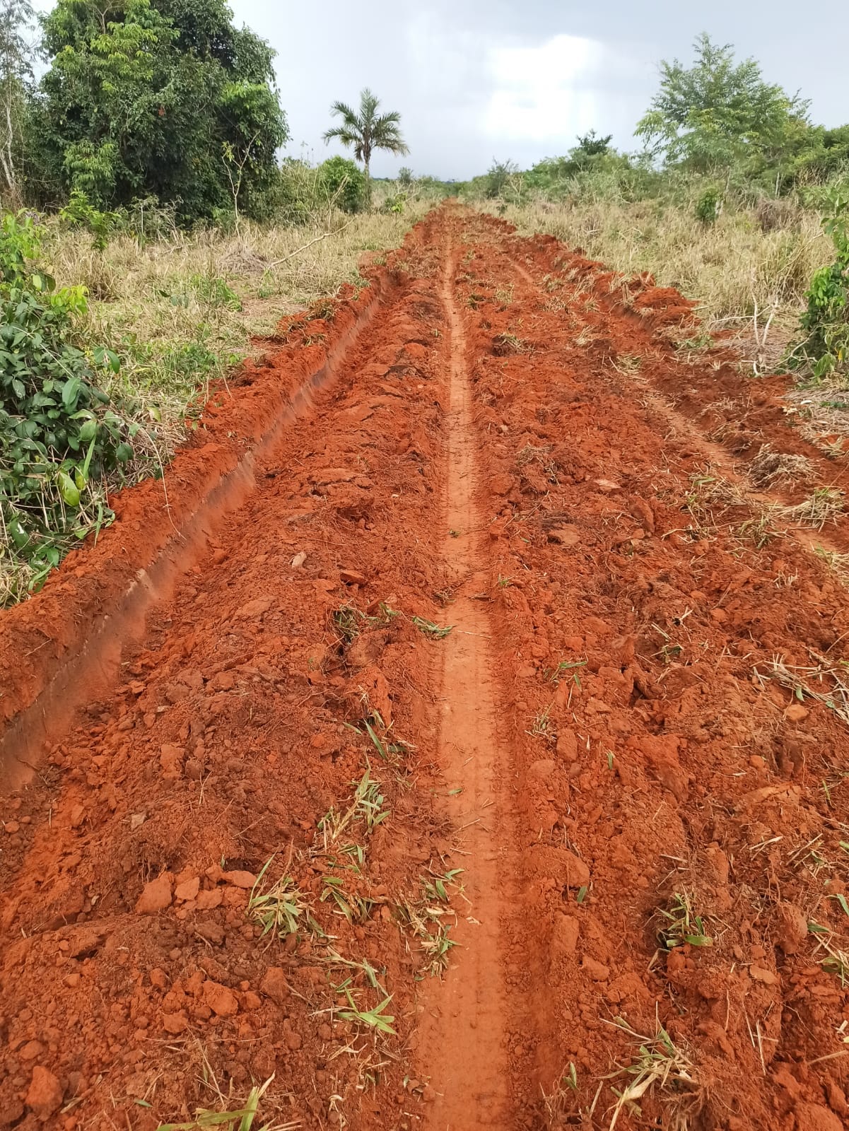 Fazenda à venda, 9283m² - Foto 7