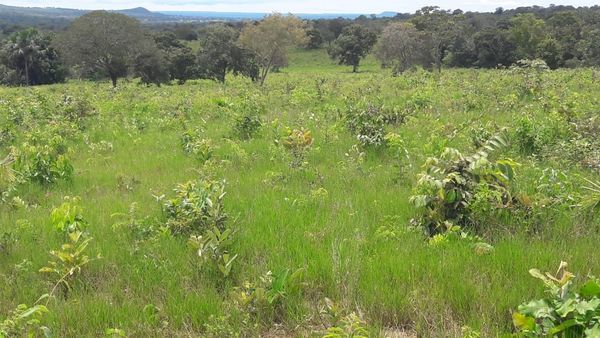 Fazenda à venda, 397m² - Foto 3