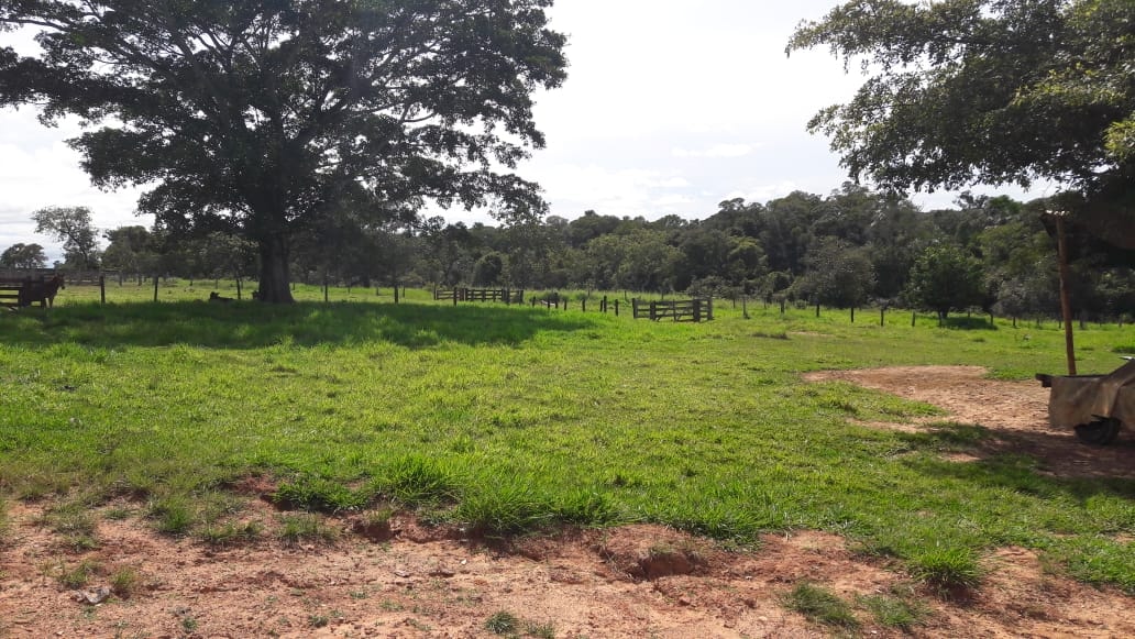 Fazenda à venda, 397m² - Foto 6