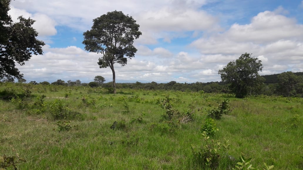 Fazenda à venda, 397m² - Foto 2