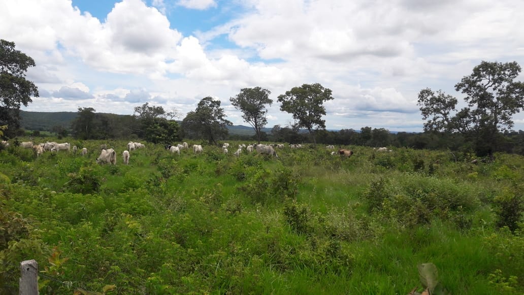 Fazenda à venda, 397m² - Foto 4