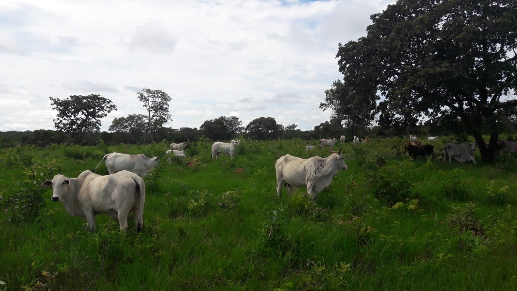 Fazenda à venda, 397m² - Foto 13