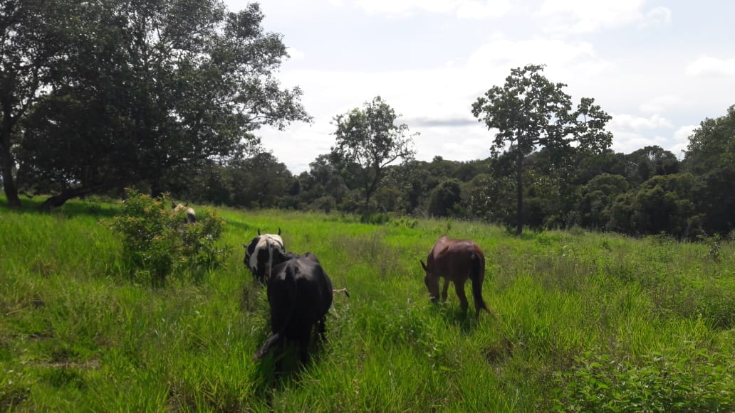 Fazenda à venda, 397m² - Foto 10