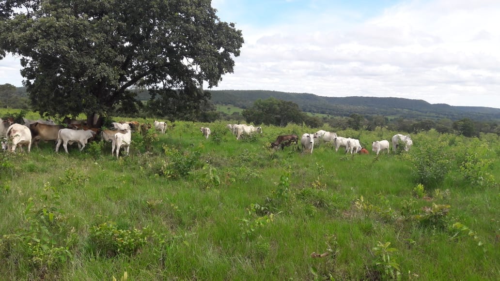 Fazenda à venda, 397m² - Foto 7