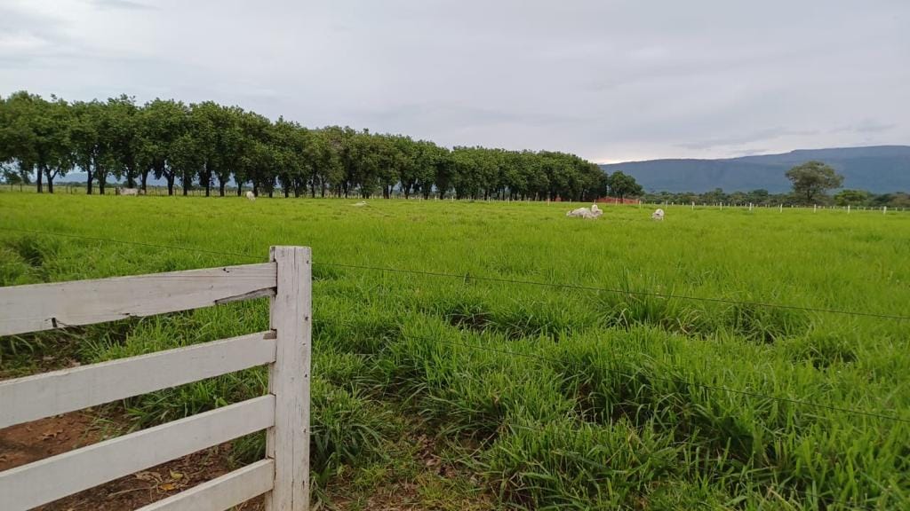 Fazenda à venda, 4850m² - Foto 5