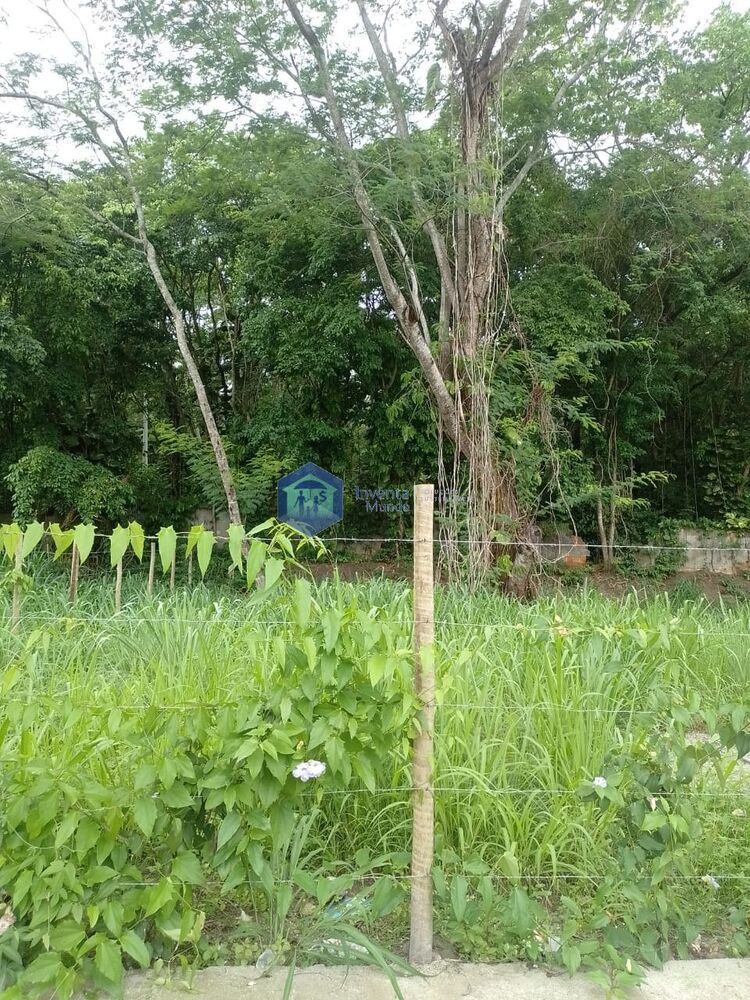 Casa de Condomínio, 3 quartos - Foto 25