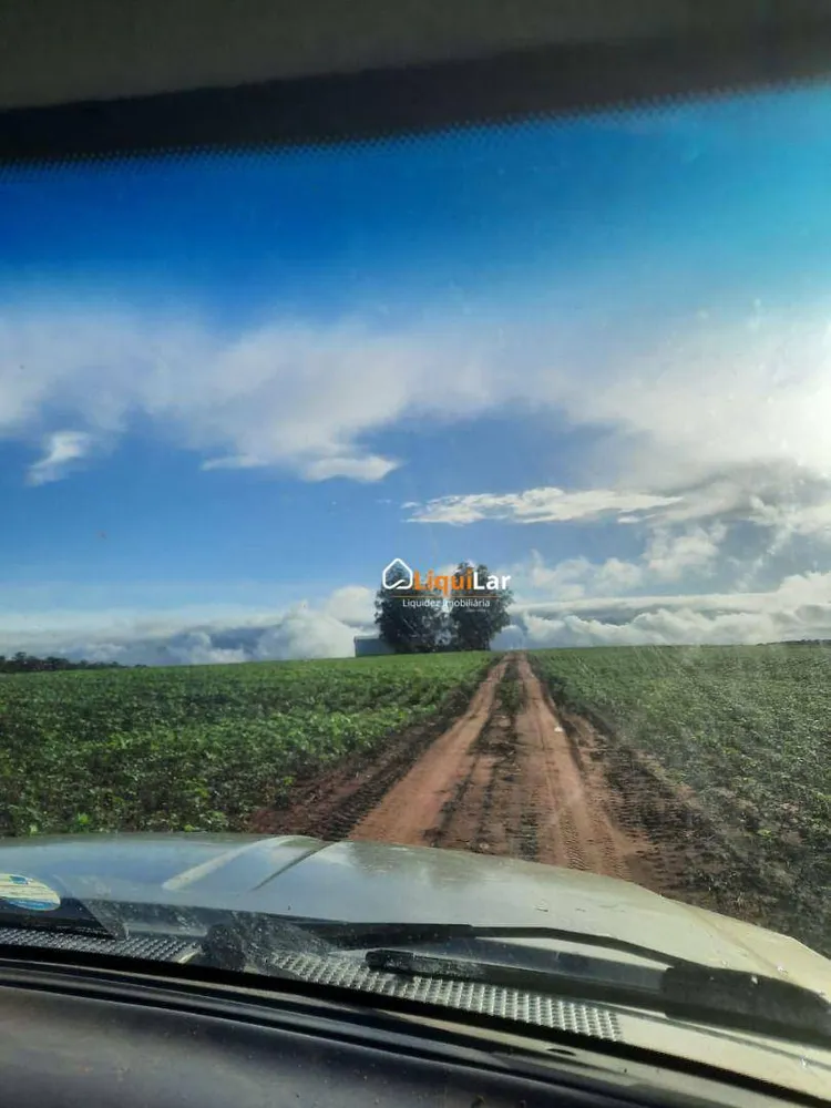 Fazenda, 163 hectares - Foto 7