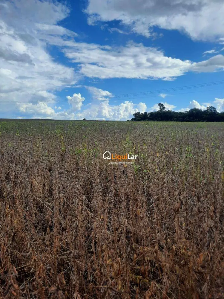 Fazenda, 163 hectares - Foto 3