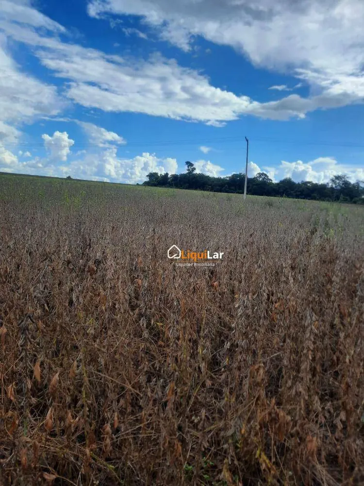 Fazenda, 163 hectares - Foto 6