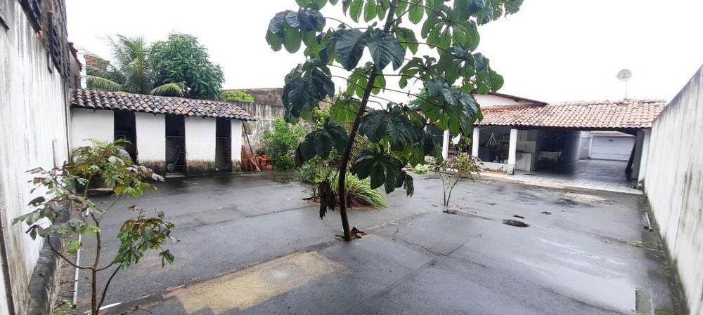 Casa, 3 quartos, 199 m² - Foto 4