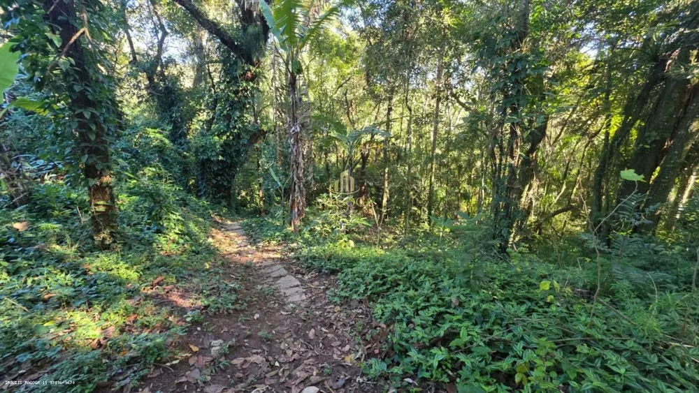 Fazenda, 3300 m² - Foto 3