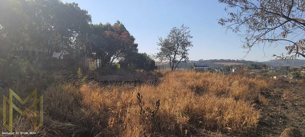 Terreno, 494 m² - Foto 3