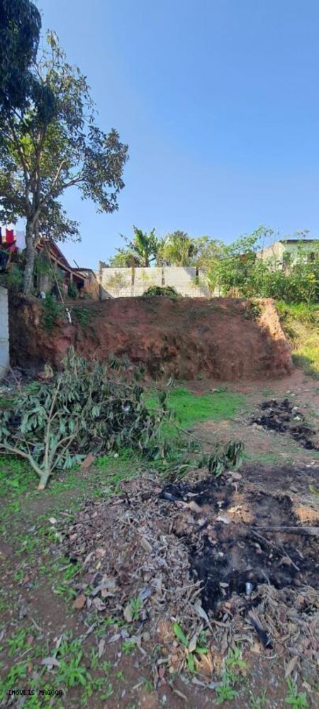 Terreno, 400 m² - Foto 3