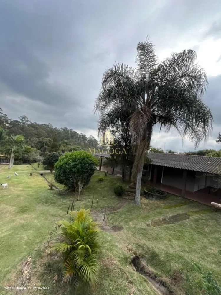 Fazenda, 5000 m² - Foto 3