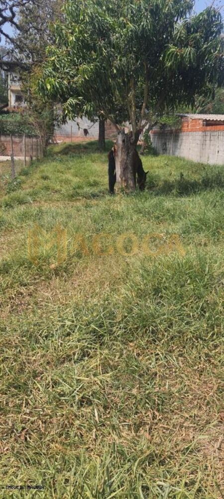 Terreno, 400 m² - Foto 2