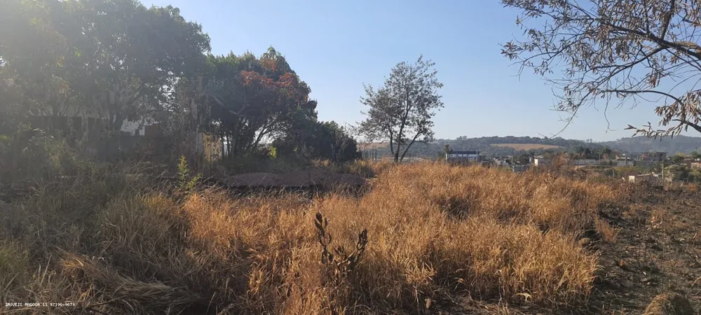 Terreno, 494 m² - Foto 4