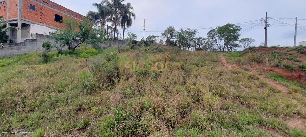 Terreno, 300 m² - Foto 4