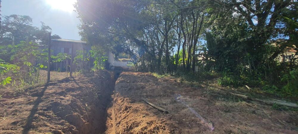 Terreno, 250 m² - Foto 5