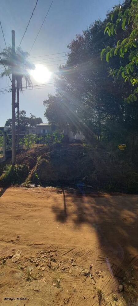 Terreno, 250 m² - Foto 6