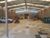 Depósito-Galpão, 1500 m² - Foto 8