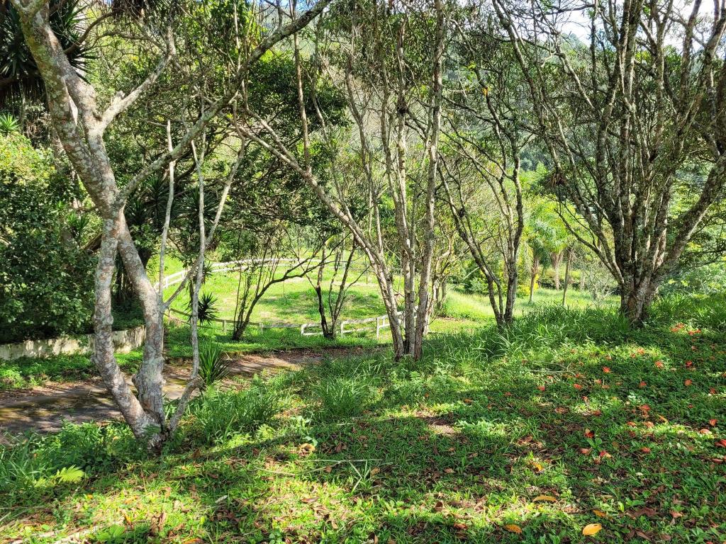 Haras e Área Rural Padrão à venda com 6 quartos, 50000m² - Foto 12