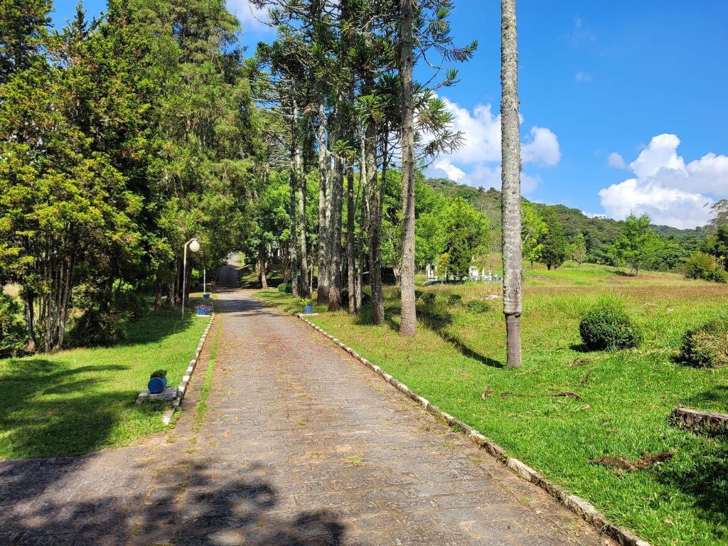 Haras e Área Rural Padrão à venda com 6 quartos, 50000m² - Foto 6