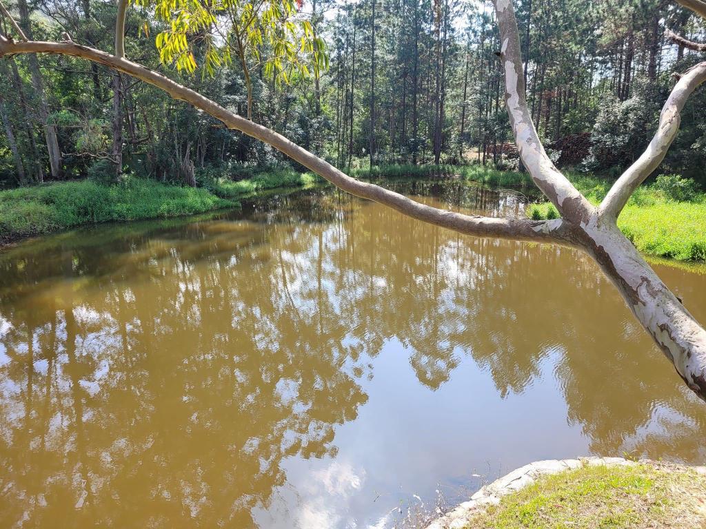 Haras e Área Rural Padrão à venda com 6 quartos, 50000m² - Foto 23