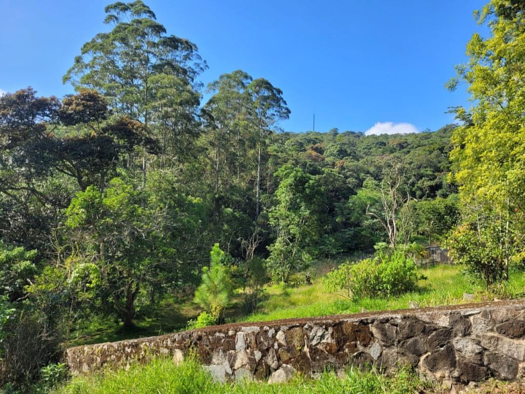 Haras e Área Rural Padrão à venda com 6 quartos, 50000m² - Foto 43