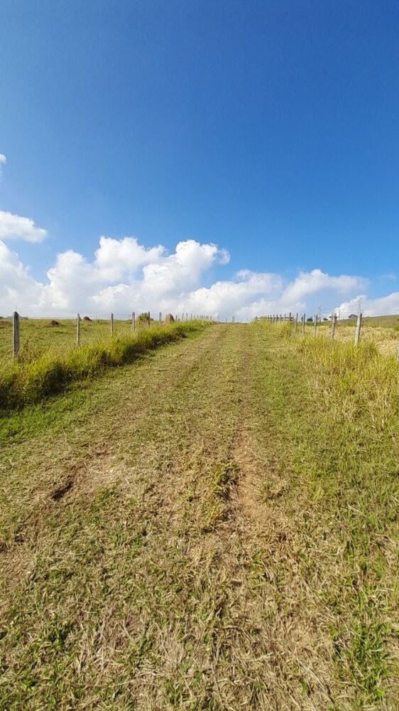 Chácara, 2 hectares - Foto 11