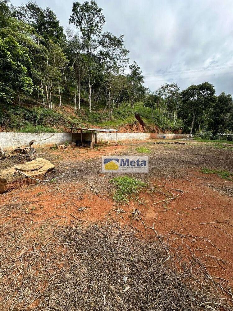 Sítio, 22 hectares - Foto 17