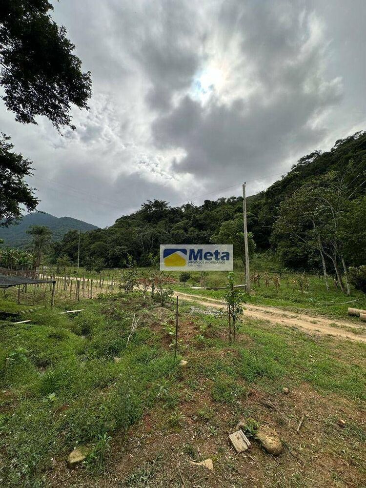 Sítio, 22 hectares - Foto 3