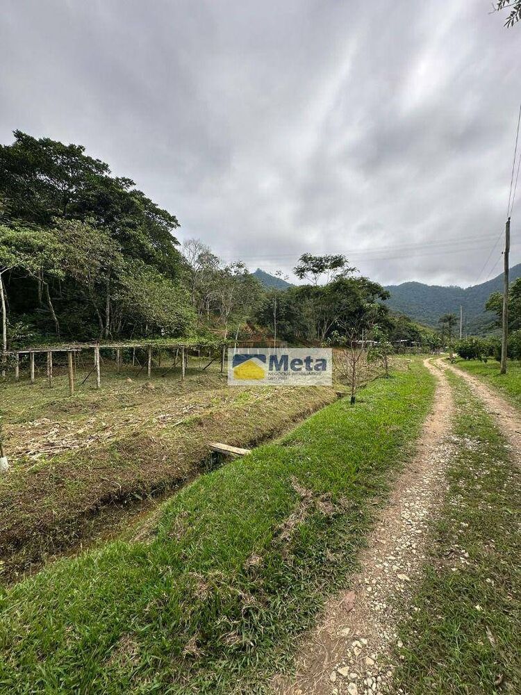 Sítio, 22 hectares - Foto 2