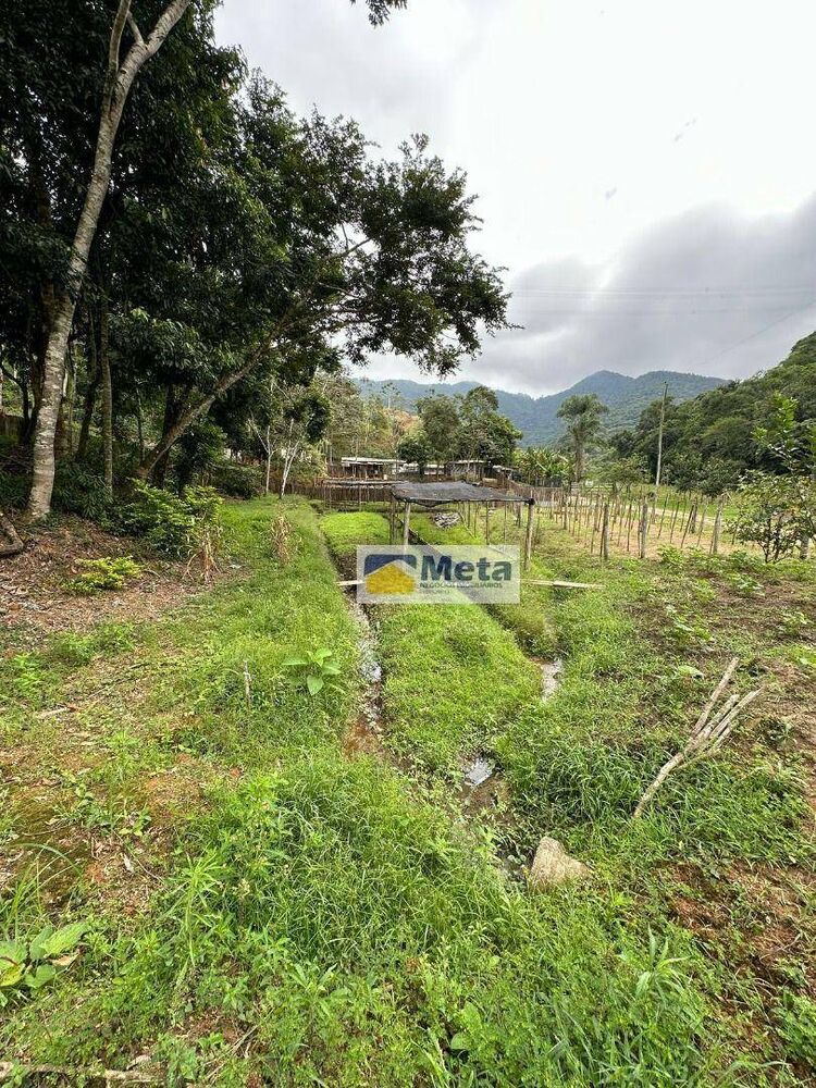 Sítio, 22 hectares - Foto 4