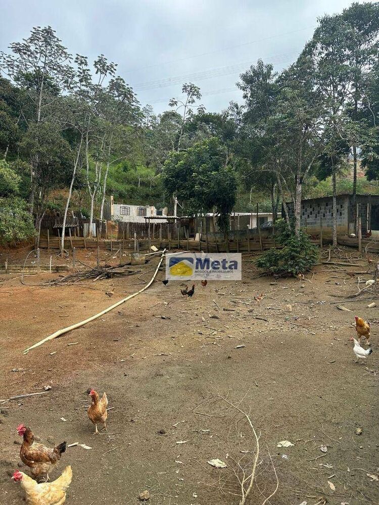 Sítio, 22 hectares - Foto 13