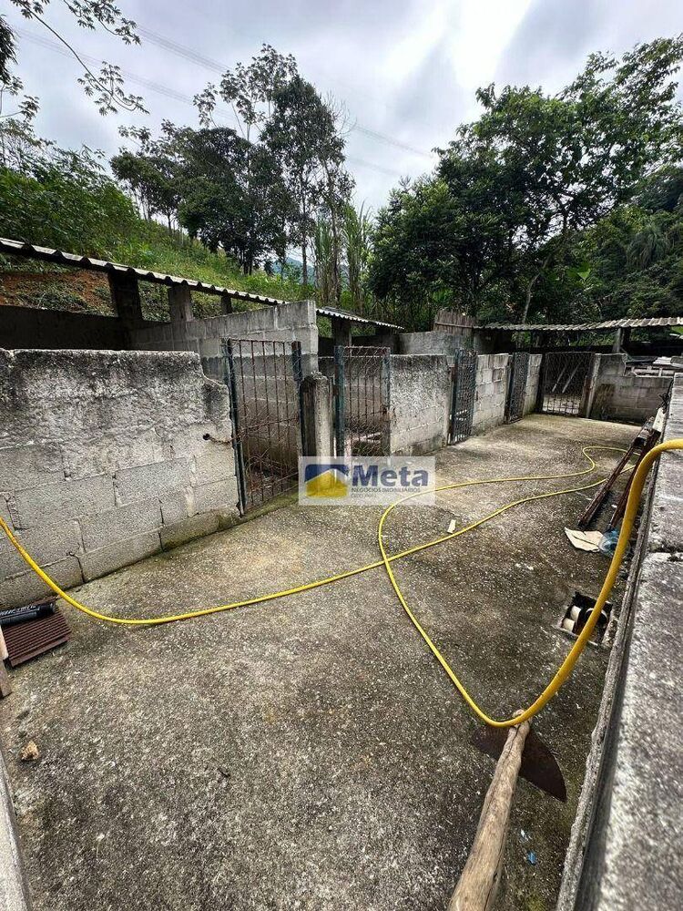 Sítio, 22 hectares - Foto 11