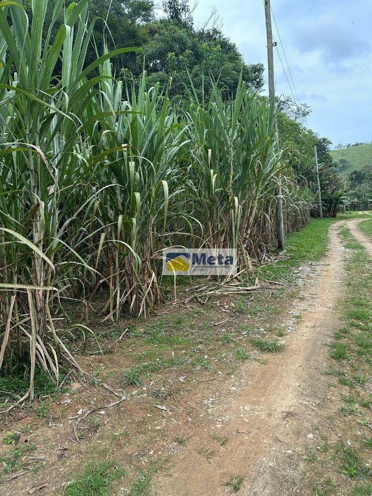 Sítio, 22 hectares - Foto 7