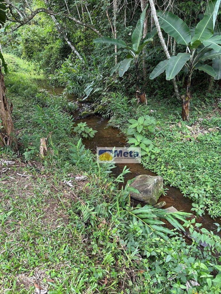 Sítio, 22 hectares - Foto 6