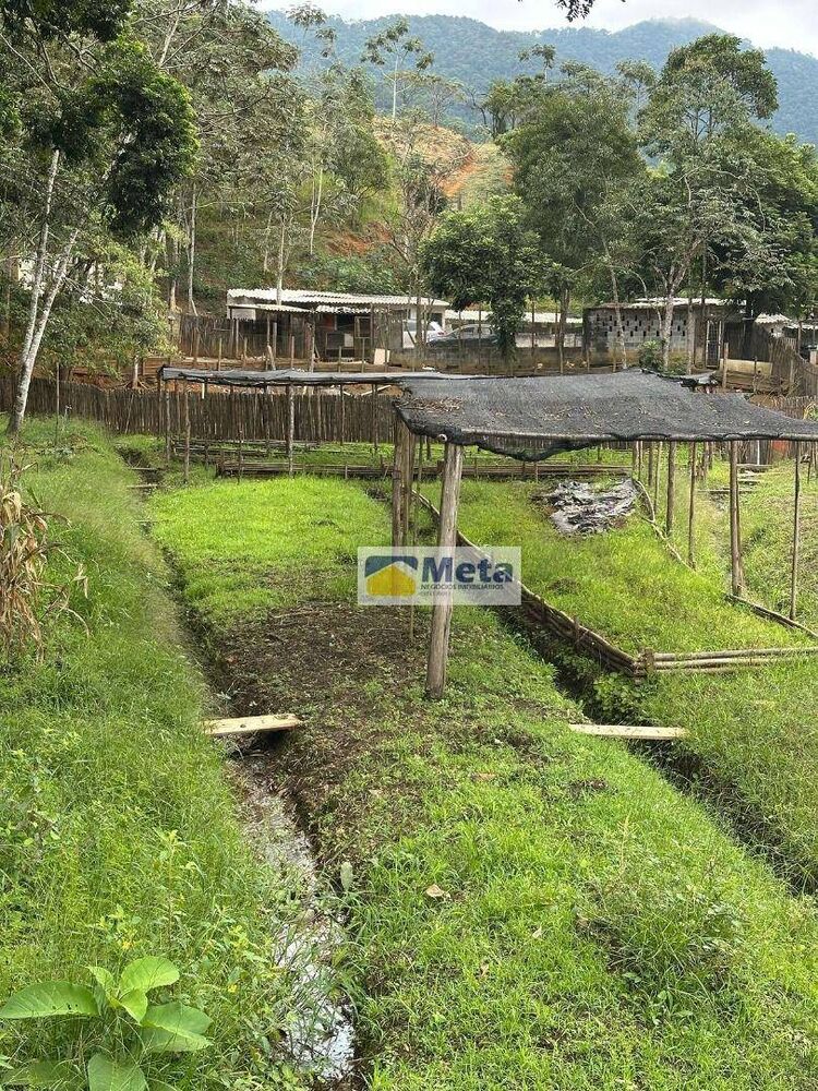 Sítio, 22 hectares - Foto 5