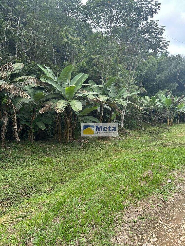 Sítio, 22 hectares - Foto 8