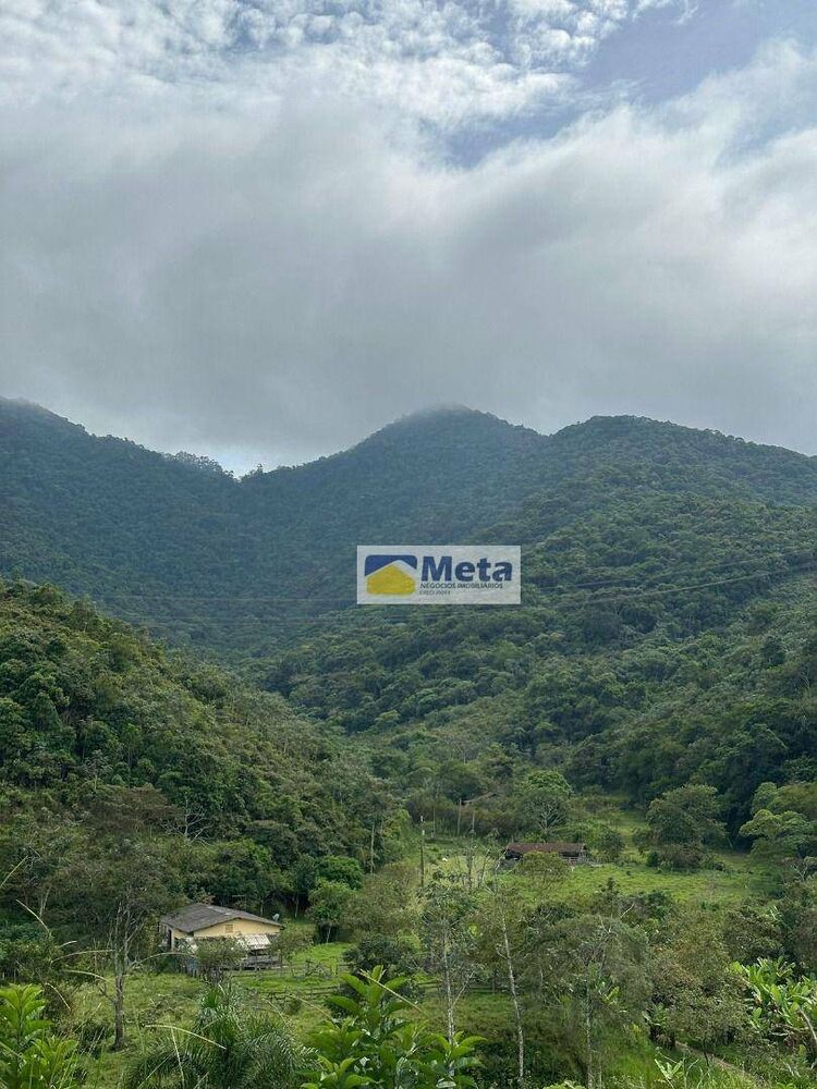 Sítio, 22 hectares - Foto 14