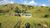 Chácara, 2 hectares - Foto 4