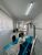 Casa, 3 quartos, 250 m² - Foto 5