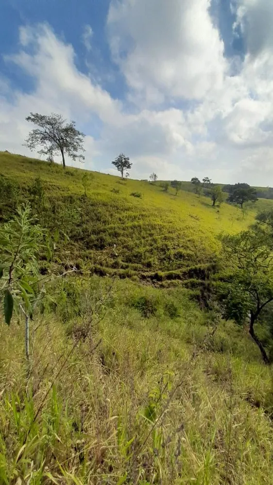 Chácara, 3 hectares - Foto 14