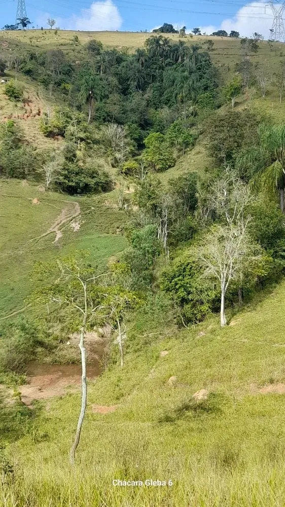 Chácara, 3 hectares - Foto 15