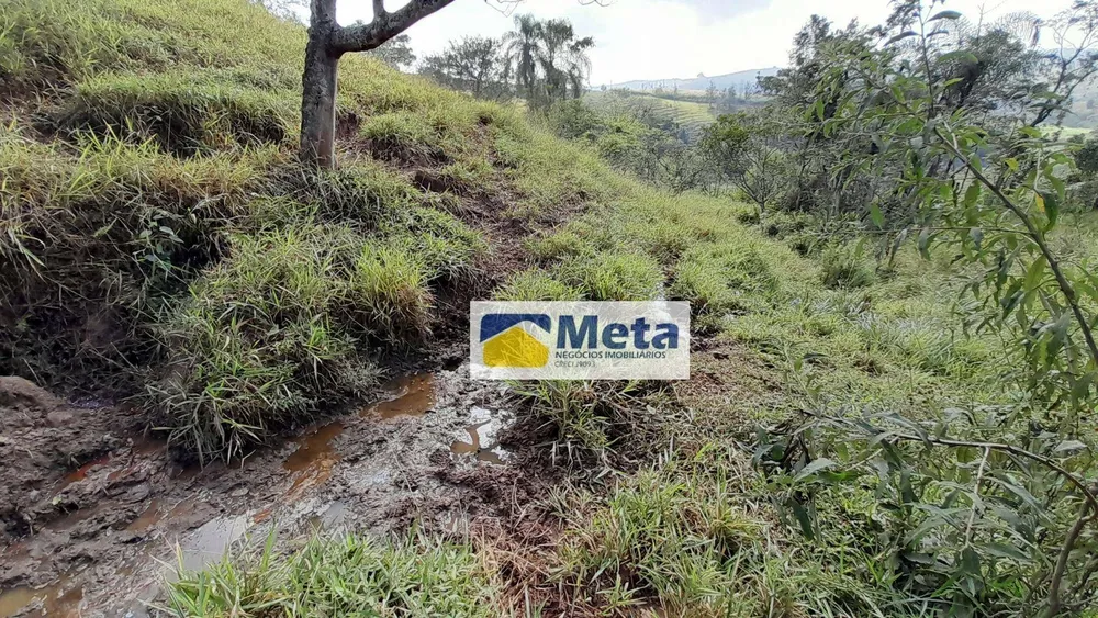 Chácara, 3 hectares - Foto 9