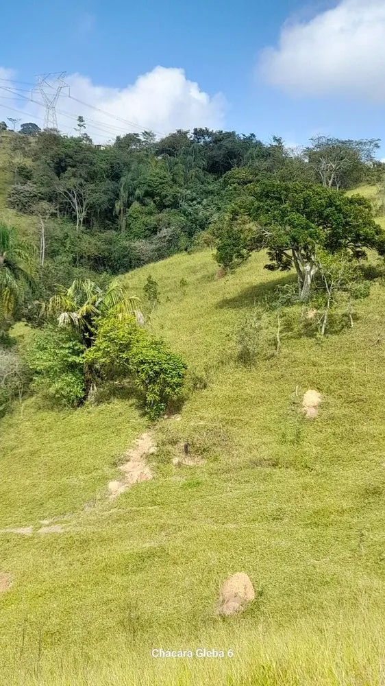 Chácara, 3 hectares - Foto 16
